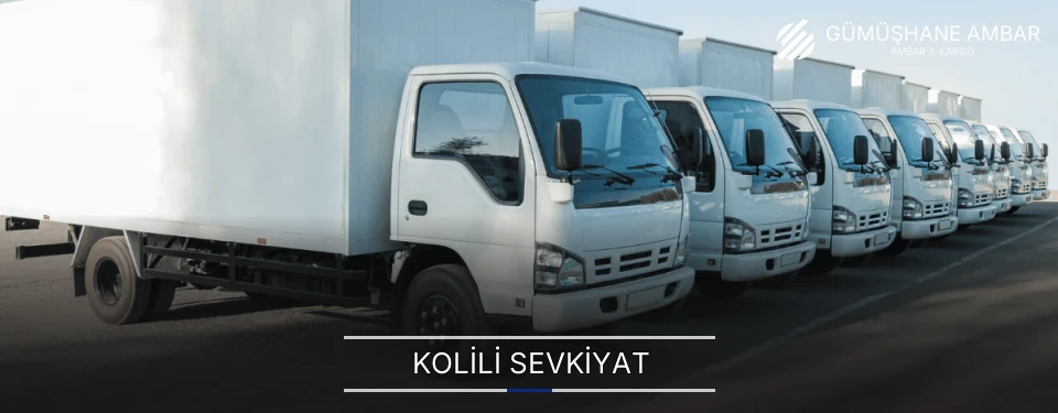 Gümüşhane Kolili Sevkiyat Ambar Firmaları